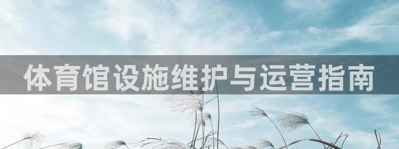 必一体育秀给网：体育