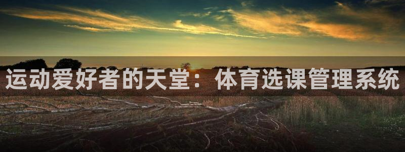 必一体育bsport下载