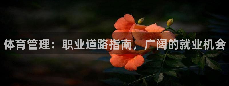 必一运动