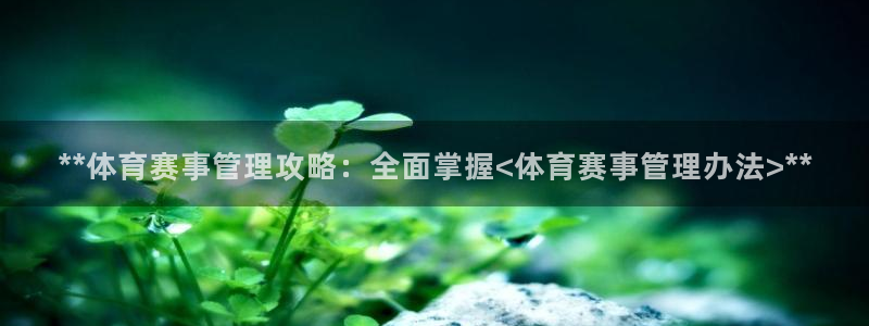 必一体育游戏玩法