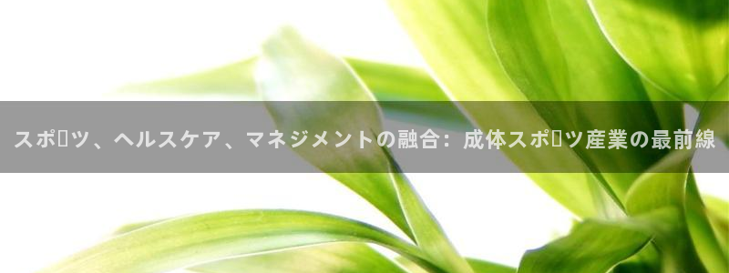 必一体育官网网站