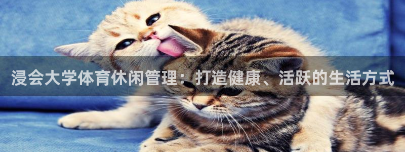 必一体育官方网站入口