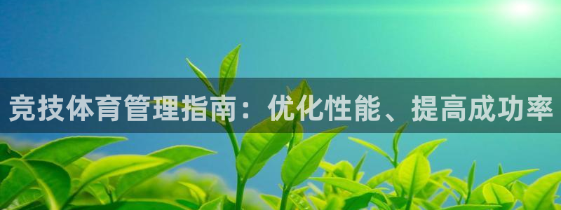 必一体育bsport