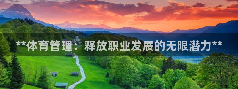 必一体育sportB