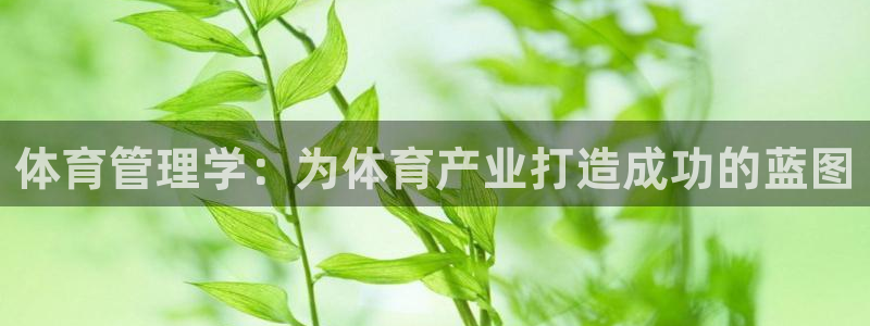 必一体育网站