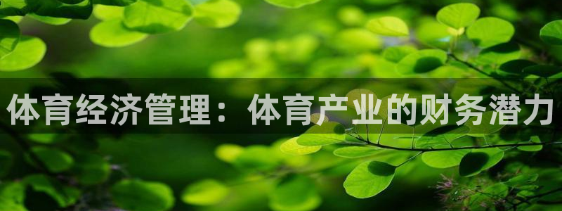 b体育必一运动网页版