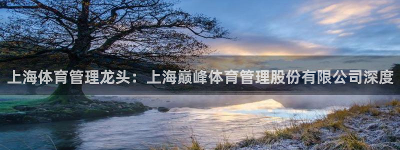 必一体育旧版：上海体