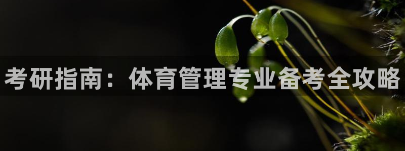 必一体育平台：考研指