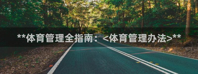 必一体育网页登录版官网