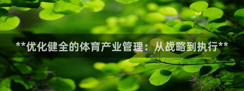 必一体育bsport