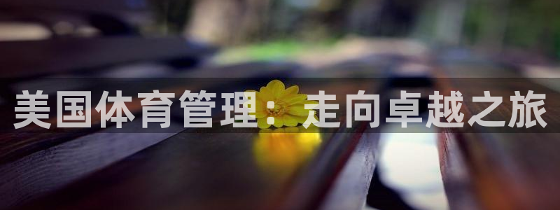 必一体育：美国体育管