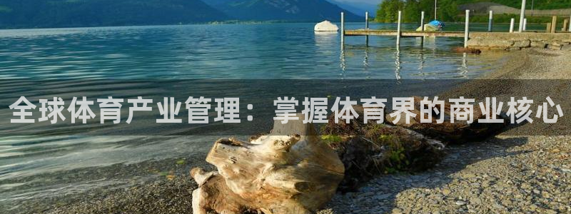 必一运动sport网页版