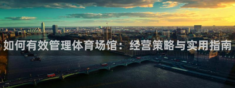 必一体育下载一样吗