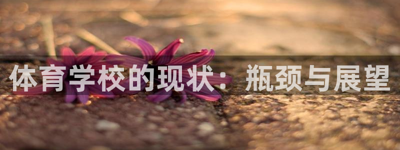 必一运动验证码：体育