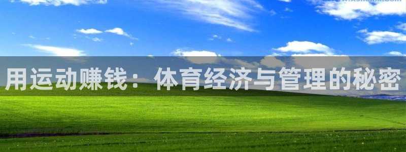 必一体育网页
