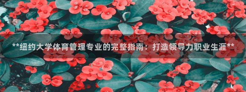 必一体育：**纽约大