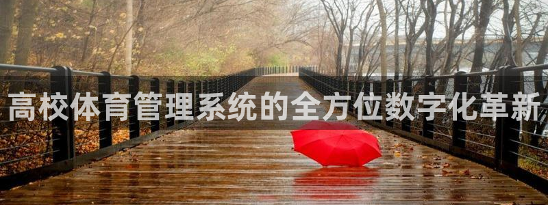 必一体育官方网站入口