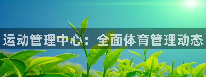 必一体育APP