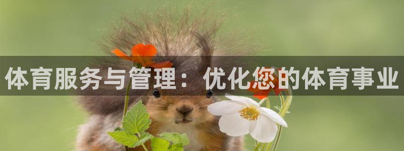 必一体育官网网站：体