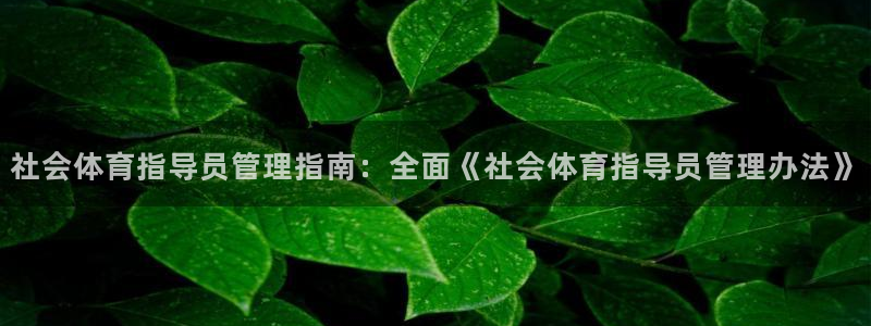 必一体育全站在线登录入口