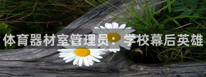 必一体育怎么下载