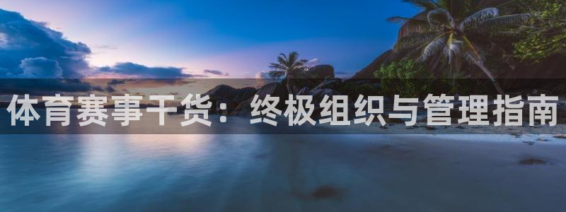 必一体育在哪下