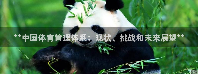 必一体育下载入口