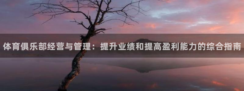 必一运动听的歌：体育