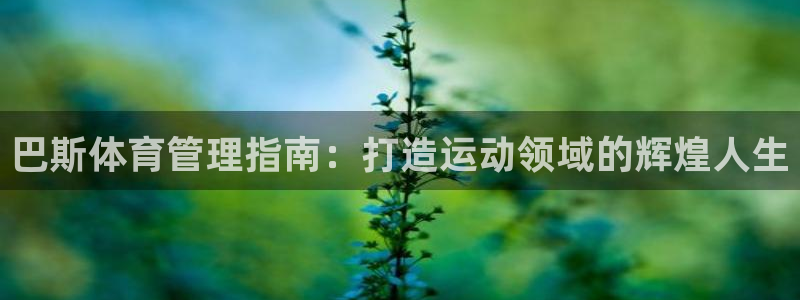 必一体育全站在线登录入口