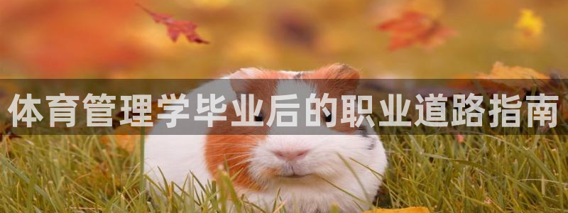 必一体育网址