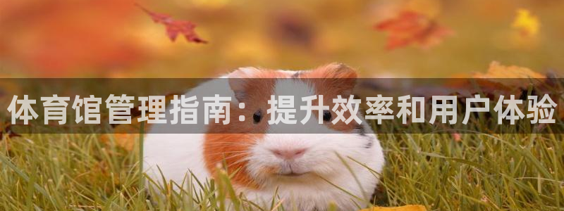 必一运动官网入口：体