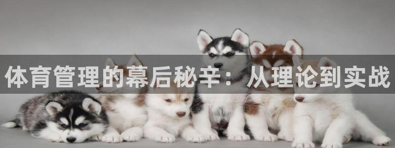 必一体育秀给网