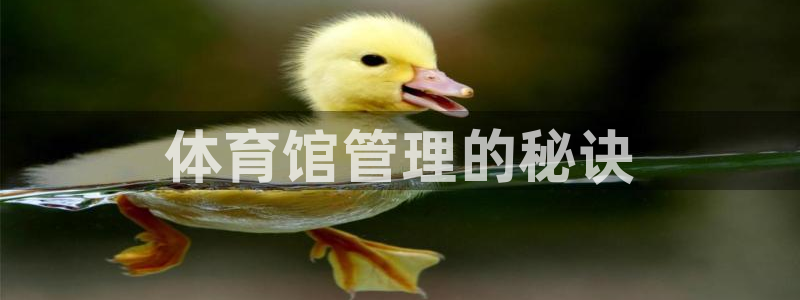 b体育必一下载