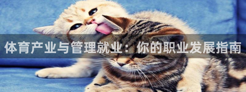 必一体育登录入口