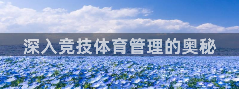 必一运动体：深入竞技