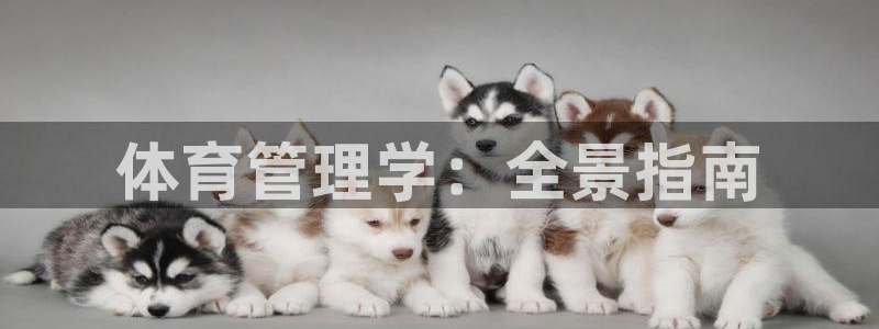 必一运动短信：体育管