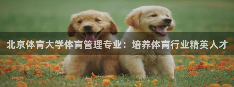 必一运动官网平台：北