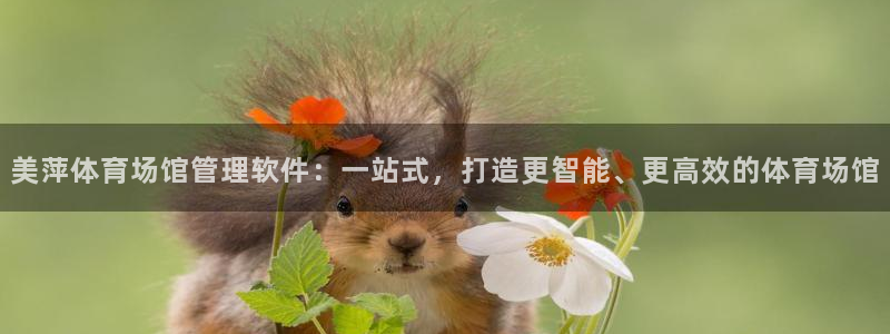 必一运动·(B-Sp
