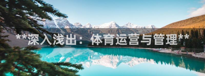 必一体育app官方正版下载