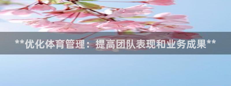 必一运动体：**优化