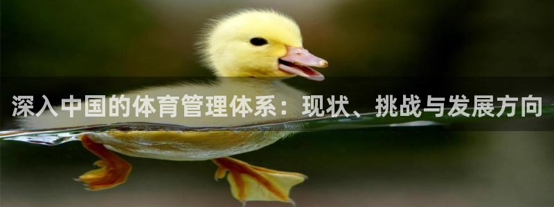 必一体育在线玩