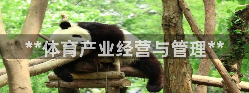 必一体育app官方