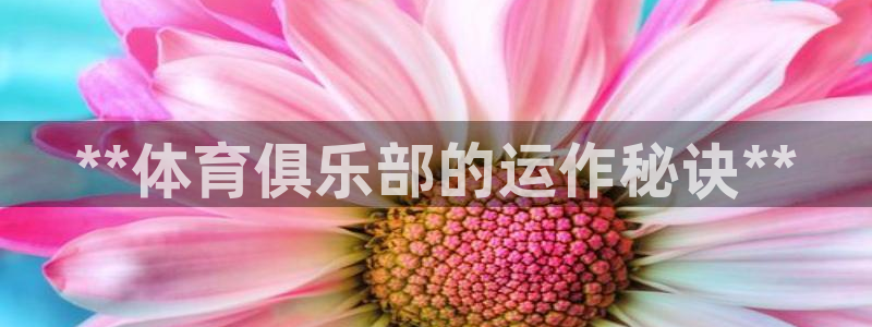 必一运动B-Sport官方网站入口