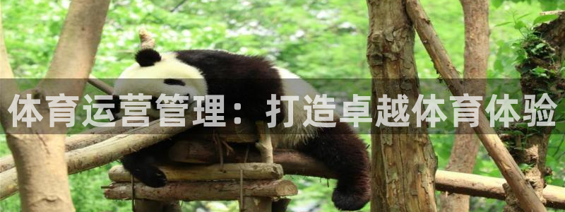 必一运动体