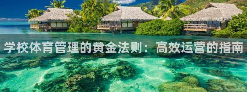 必一体育是啥：学校体