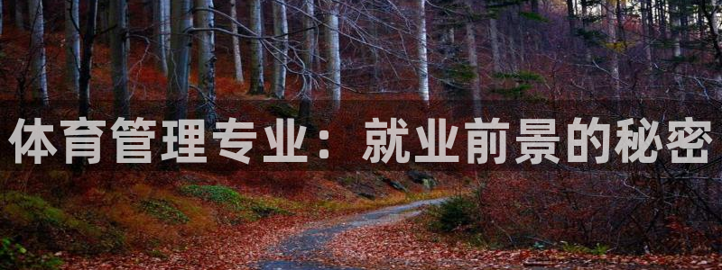 必一运动·(B-Sports)