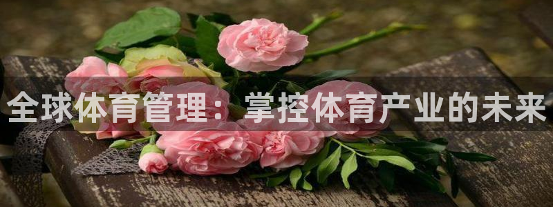 必一体育官方下载入口