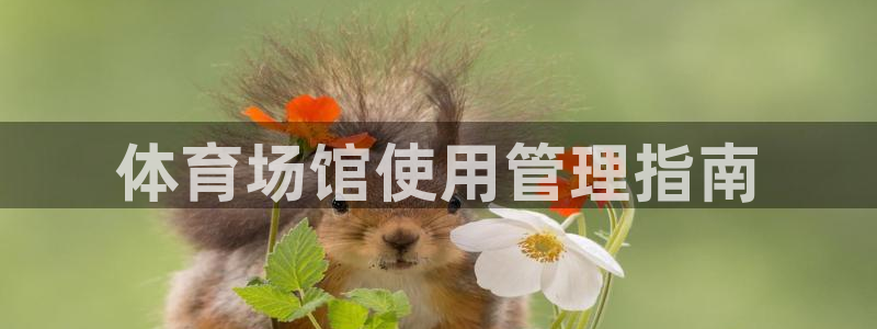 必一运动体育官网