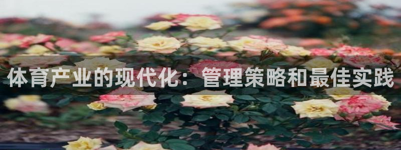 必一体育sport装