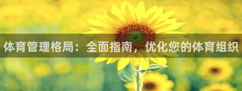 必一体育app官方网
